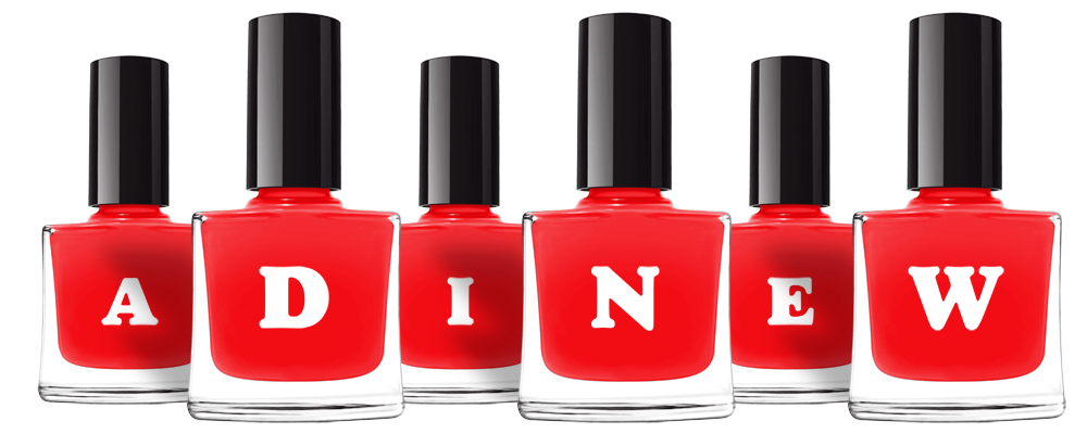Adinew fashion logo