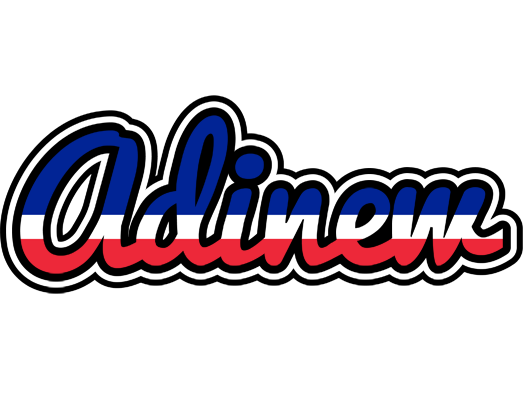 Adinew france logo