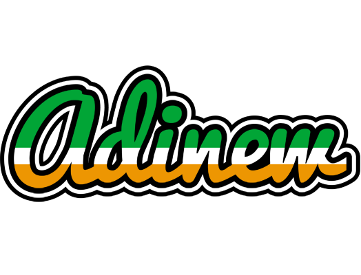 Adinew ireland logo