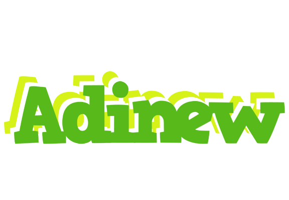 Adinew picnic logo