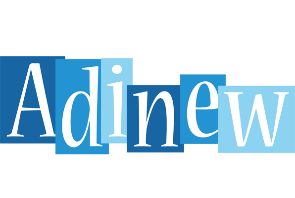 Adinew winter logo