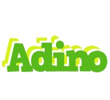 Adino picnic logo