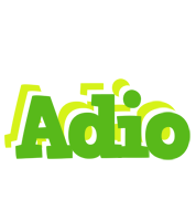 Adio picnic logo