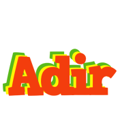 Adir bbq logo