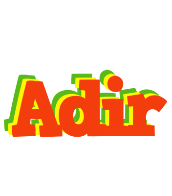 Adir bbq logo