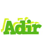 Adir picnic logo