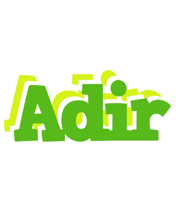 Adir picnic logo