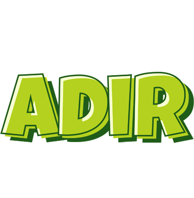 Adir summer logo