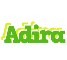 Adira picnic logo