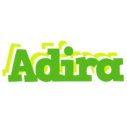 Adira picnic logo