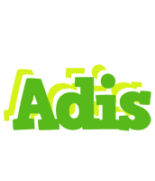 Adis picnic logo