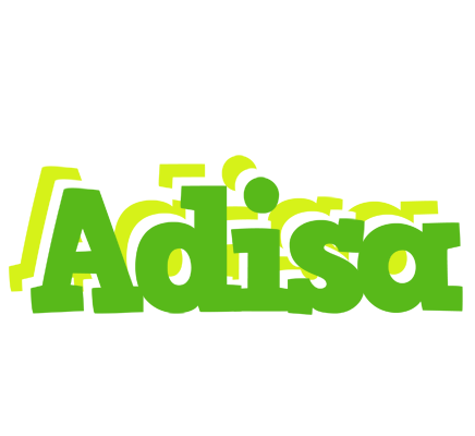 Adisa picnic logo