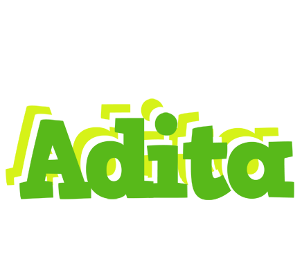 Adita picnic logo