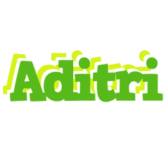 Aditri picnic logo