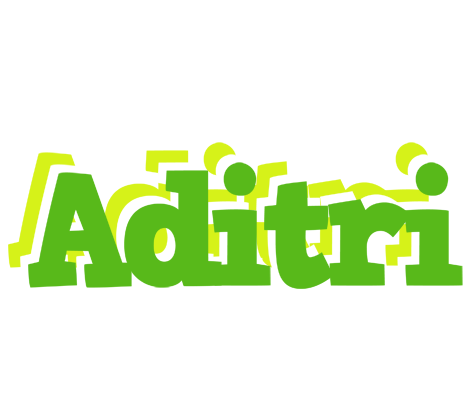 Aditri picnic logo