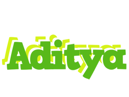 Aditya picnic logo