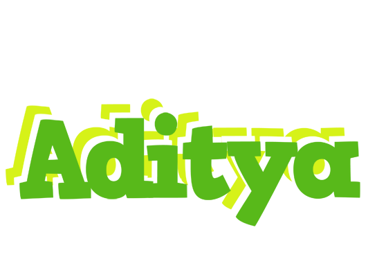 Aditya picnic logo