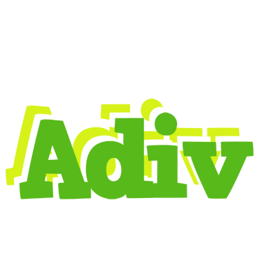 Adiv picnic logo
