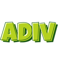 Adiv summer logo