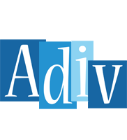 Adiv winter logo