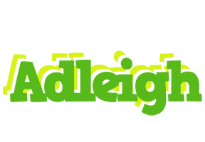 Adleigh picnic logo