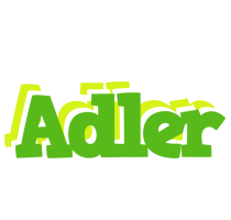 Adler picnic logo