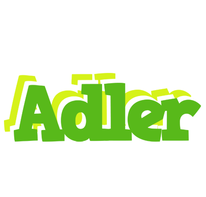 Adler picnic logo