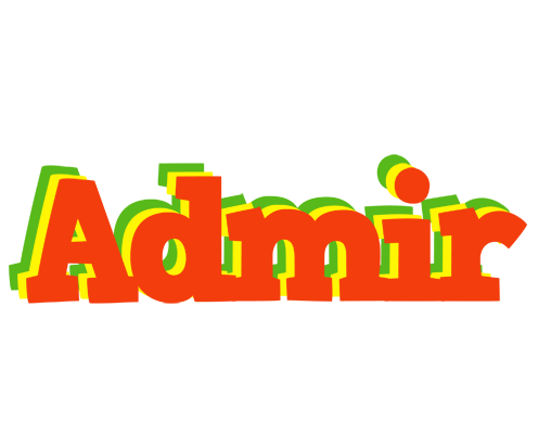 Admir bbq logo