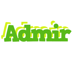 Admir picnic logo