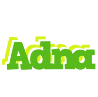 Adna picnic logo