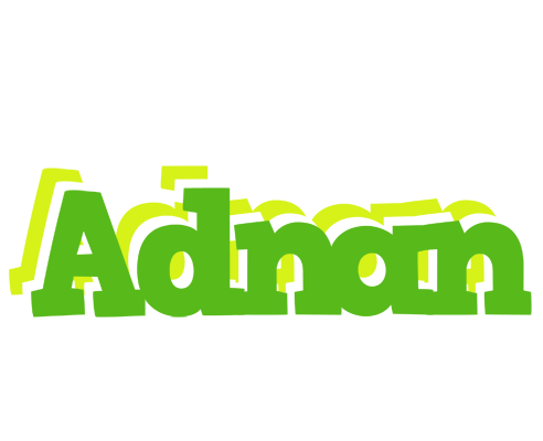 Adnan picnic logo