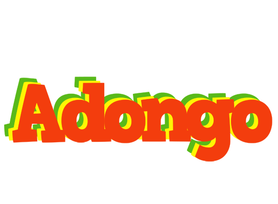 Adongo bbq logo