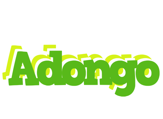 Adongo picnic logo