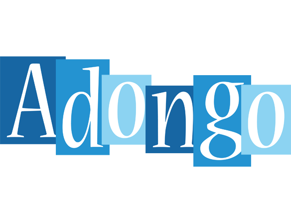 Adongo winter logo