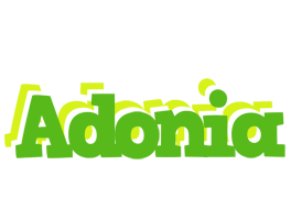 Adonia picnic logo