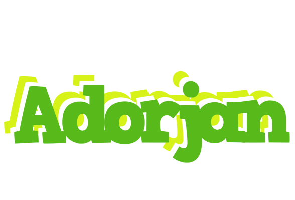 Adorjan picnic logo
