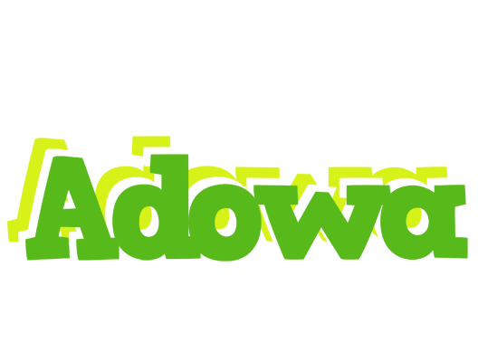 Adowa picnic logo