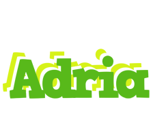 Adria picnic logo