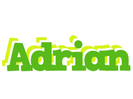 Adrian picnic logo