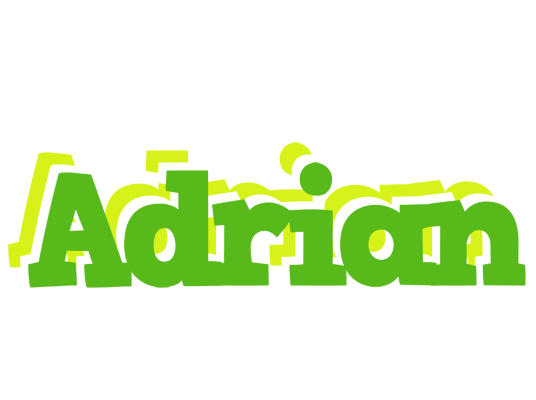 Adrian picnic logo