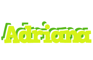 Adriana citrus logo