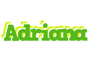 Adriana picnic logo