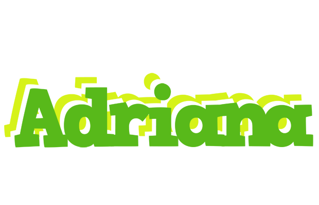 Adriana picnic logo