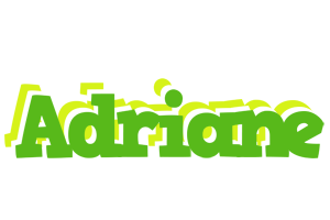 Adriane picnic logo