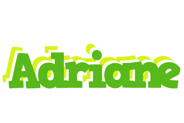 Adriane picnic logo