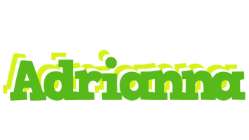 Adrianna picnic logo