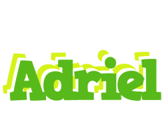 Adriel picnic logo