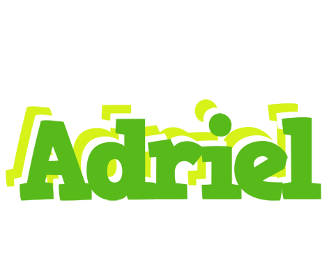 Adriel picnic logo