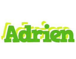 Adrien picnic logo