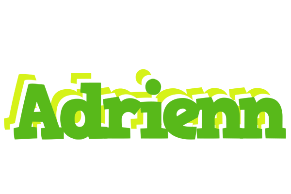 Adrienn picnic logo
